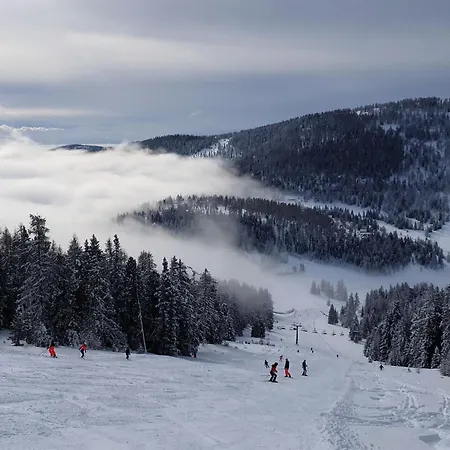 公寓 Stieglitz By Interhome 霍赫林德