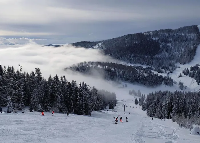 דירה Stieglitz By Interhome הוכרינדל